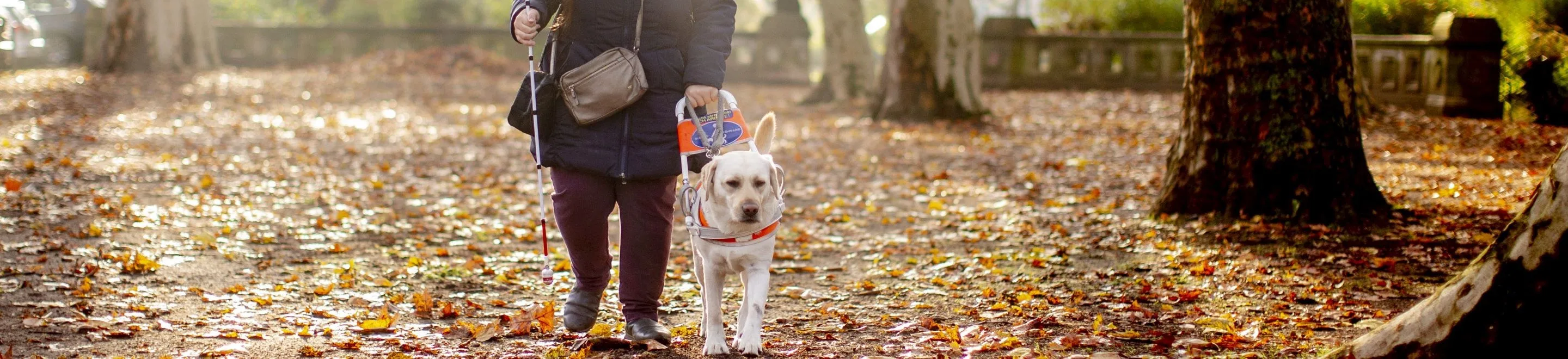 Eine blinde Person geht mit einem Assistenzhund durch einen Park.