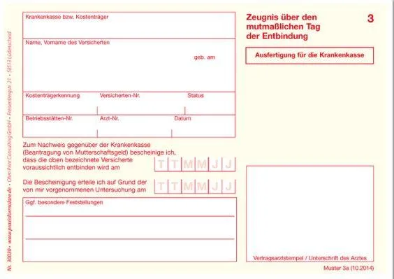 Muster-Formular für ein Zeugnis über den voraussichtlichen Entbindungstermin (vor der Geburt).